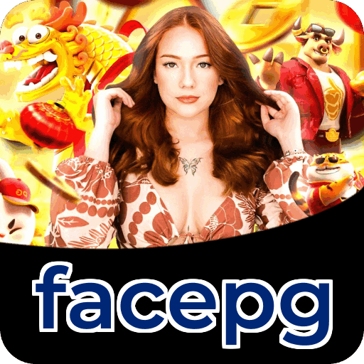 Métodos de pagamento aceitos na facepg